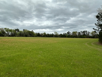 East Texas Recreational Land For Sale - image 20