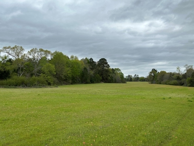 East Texas Recreational Land For Sale - image 30