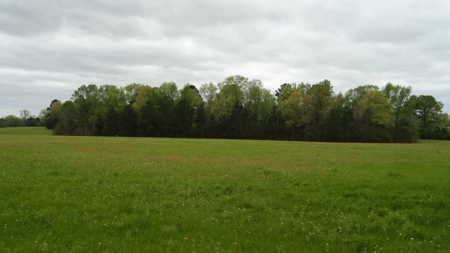 East Texas Recreational Land For Sale - image 4