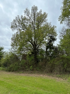 East Texas Recreational Land For Sale - image 27