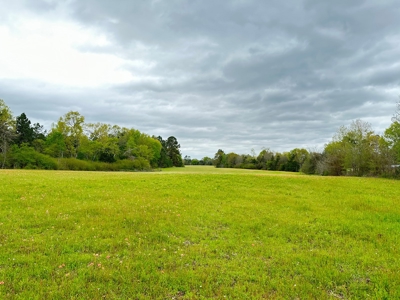 East Texas Recreational Land For Sale - image 1