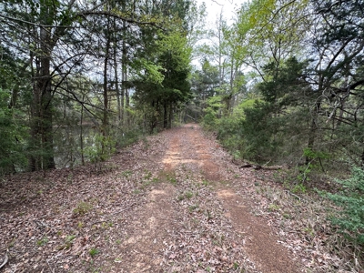 East Texas Recreational Land For Sale - image 11