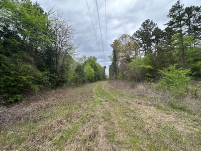 East Texas Recreational Land For Sale - image 24