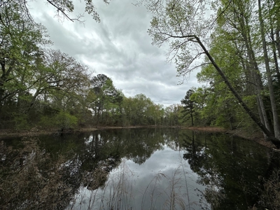 East Texas Recreational Land For Sale - image 2