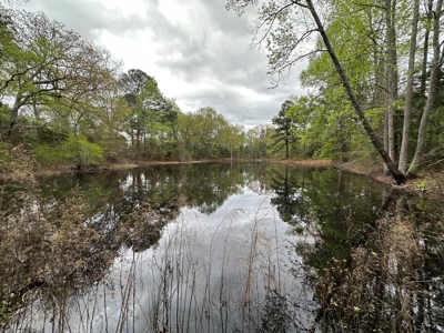 East Texas Recreational Land For Sale - image 15