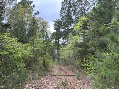 East Texas Recreational Land For Sale - image 23