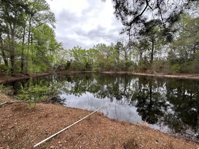East Texas Recreational Land For Sale - image 16