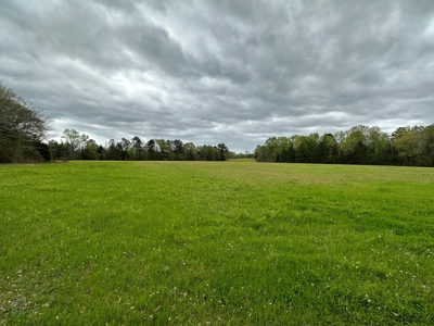 East Texas Recreational Land For Sale - image 5