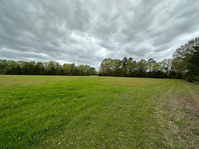 East Texas Recreational Land For Sale - image 6