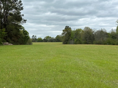East Texas Recreational Land For Sale - image 21