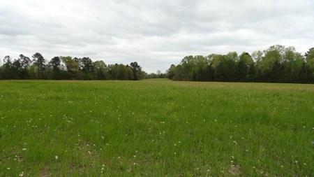 East Texas Recreational Land For Sale - image 3