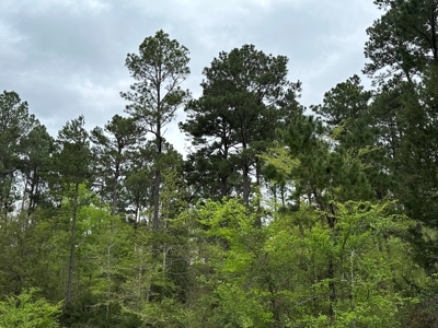 East Texas Recreational Land For Sale - image 25