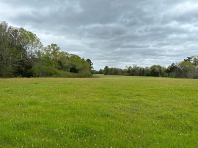 East Texas Recreational Land For Sale - image 26