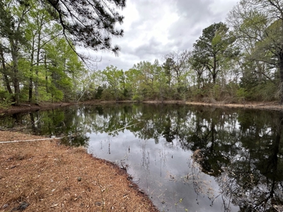 East Texas Recreational Land For Sale - image 17