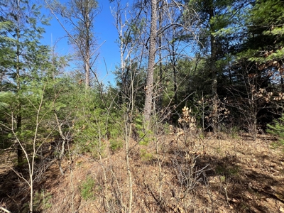 Juneau County WI Real Estate Lot Online Only Auction - image 7