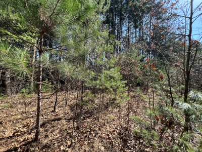 Juneau County WI Real Estate Lot Online Only Auction - image 5