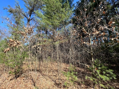 Juneau County WI Real Estate Lot Online Only Auction - image 9