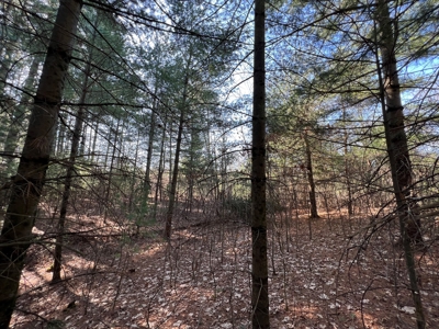 Juneau County WI Real Estate Lot Online Only Auction - image 12