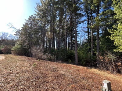 Juneau County WI Real Estate Lot Online Only Auction - image 13