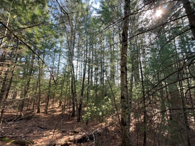 Juneau County WI Real Estate Lot Online Only Auction - image 11