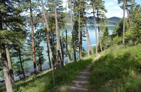 Whitefish Luxury Log Home For Sale - image 21