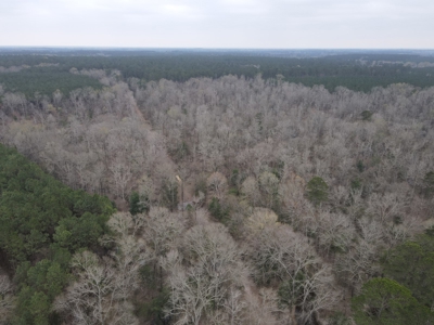 Hunting and Timberland Tract in Columbia County Arkansas - image 21
