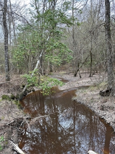 Hunting and Timberland Tract in Columbia County Arkansas - image 36