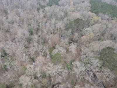 Hunting and Timberland Tract in Columbia County Arkansas - image 23