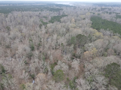 Hunting and Timberland Tract in Columbia County Arkansas - image 24