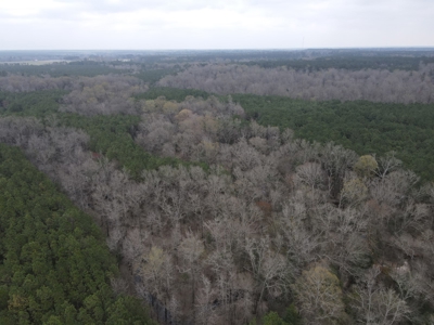 Hunting and Timberland Tract in Columbia County Arkansas - image 19