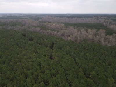 Hunting and Timberland Tract in Columbia County Arkansas - image 17