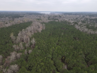 Hunting and Timberland Tract in Columbia County Arkansas - image 14