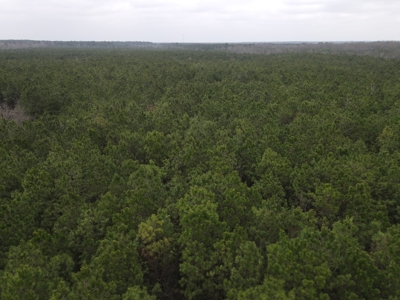 Hunting and Timberland Tract in Columbia County Arkansas - image 12