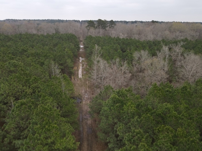 Hunting and Timberland Tract in Columbia County Arkansas - image 13