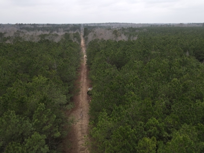 Hunting and Timberland Tract in Columbia County Arkansas - image 11