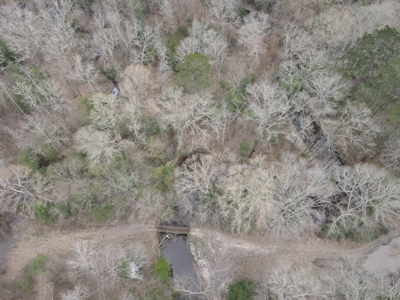 Hunting and Timberland Tract in Columbia County Arkansas - image 22