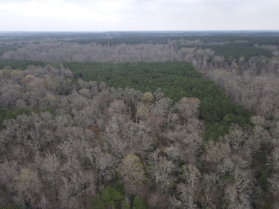 Hunting and Timberland Tract in Columbia County Arkansas - image 18