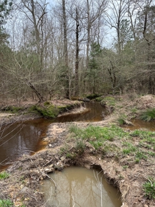Hunting and Timberland Tract in Columbia County Arkansas - image 35