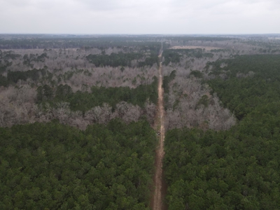Hunting and Timberland Tract in Columbia County Arkansas - image 15
