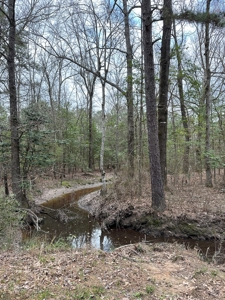 Hunting and Timberland Tract in Columbia County Arkansas - image 37