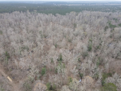 Hunting and Timberland Tract in Columbia County Arkansas - image 25