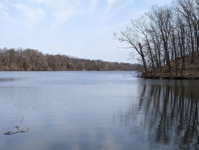 Unique property with 2500ft Union Lake frontage and 12 acres - image 5