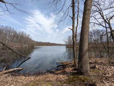 Unique property with 2500ft Union Lake frontage and 12 acres - image 2