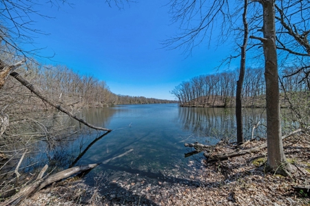 Unique property with 2500ft Union Lake frontage and 12 acres - image 6
