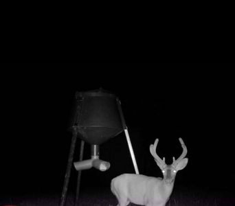 77 Acres for Sale SW Mississippi - image 24