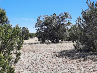 Great tucked away rural off grid property ! - image 7