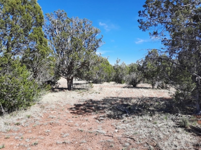 Great tucked away rural off grid property ! - image 3