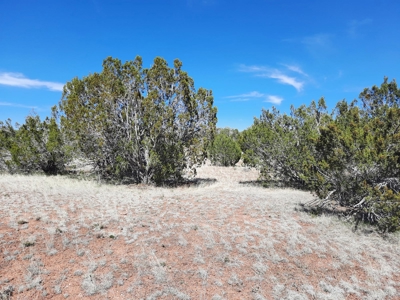 Great tucked away rural off grid property ! - image 5