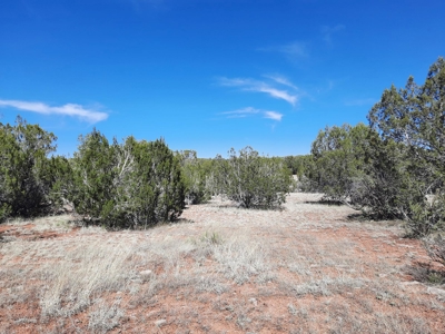 Great tucked away rural off grid property ! - image 2