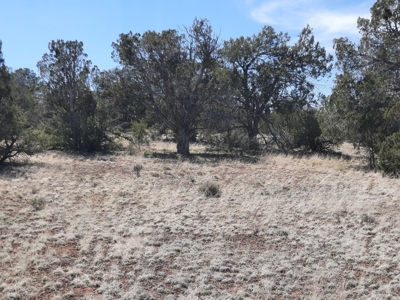 Great tucked away rural off grid property ! - image 6